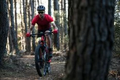 Mountain Biking Rockrider XC500, MTB Shoes, Adult