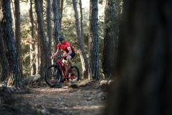 Mountain Biking Rockrider XC500, MTB Shoes, Adult