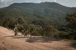 Cheapest ๐ฅ Road & Gravel Biking Triban Road Cycling Short Sleeved Merino Wool Jersey, Men's ๐ 52 Road & Gravel Biking Triban Road Cycling Short Sleeved Merino Wool Jersey, Men's