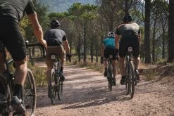 Cheapest ๐ฅ Road & Gravel Biking Triban Road Cycling Short Sleeved Merino Wool Jersey, Men's ๐ 50 Road & Gravel Biking Triban Road Cycling Short Sleeved Merino Wool Jersey, Men's