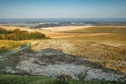 Triban GRVL900, Shimano GRX Titanium Frame Gravel Bike Road & Gravel Biking