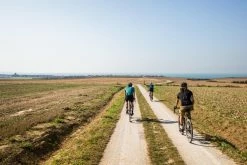 Triban GRVL900, Shimano GRX Titanium Frame Gravel Bike Road & Gravel Biking