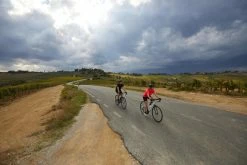 Outlet ๐ Btwin Essential, Bibless Road Cycling Shorts, Men's ๐ฅฐ 37 Btwin Essential, Bibless Road Cycling Shorts, Men's