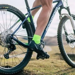 Mountain Biking Rockrider Race 700, Mountain Bike Shoes, Men's