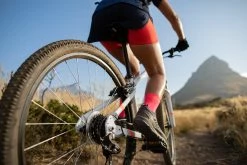 Cheap ๐ Rockrider ST100, Mountain Bike Shorts, ๐ฉ Women's โ 26 Rockrider ST100, Mountain Bike Shorts, Women's